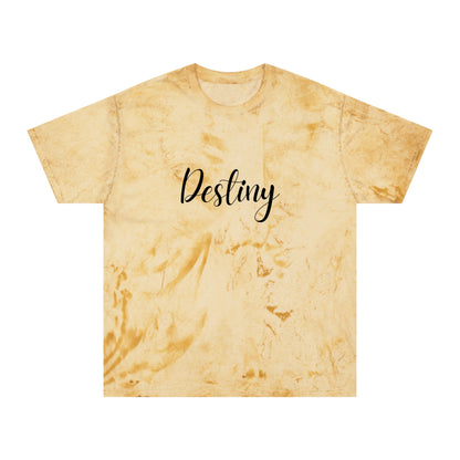 Destiny Color Blast T-Shirt