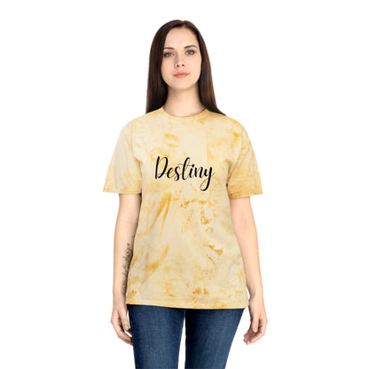 Destiny Color Blast T-Shirt